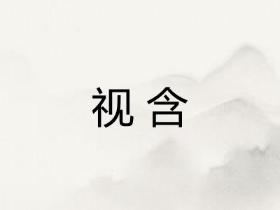 视含