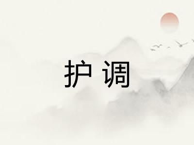 护调