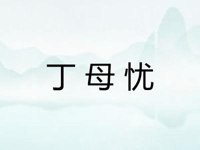 丁母忧