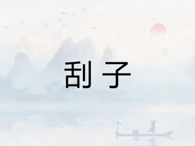 刮子