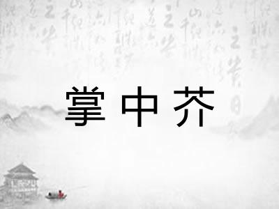 掌中芥