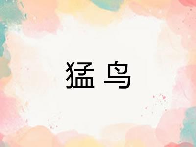 猛鸟