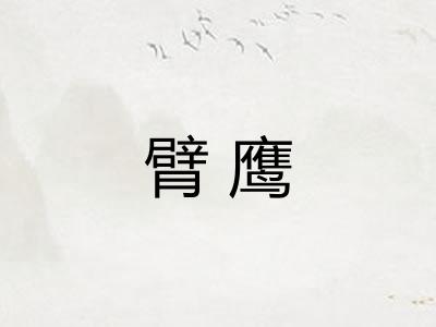 臂鹰