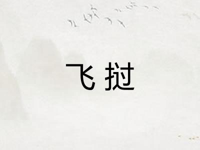 飞挝