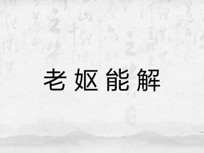 老妪能解