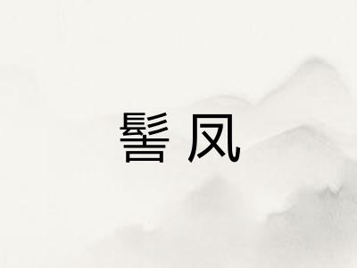 髻凤