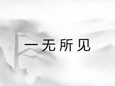 一无所见
