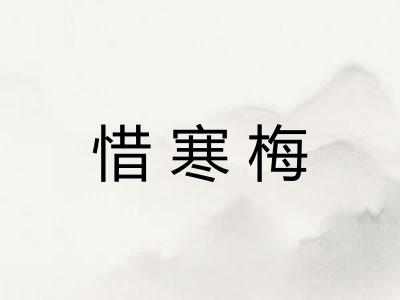 惜寒梅