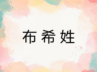 布希姓