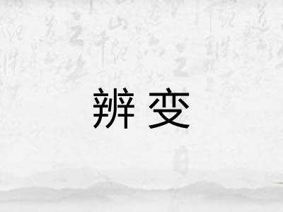 辨变