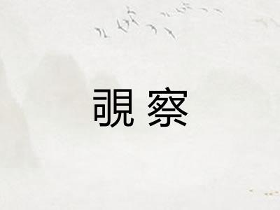 覗察