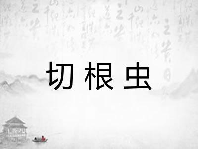 切根虫