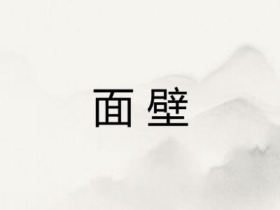 面壁