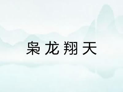 枭龙翔天