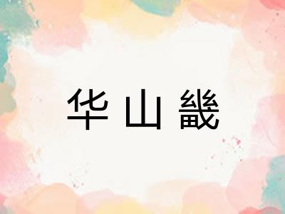 华山畿