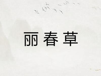 丽春草