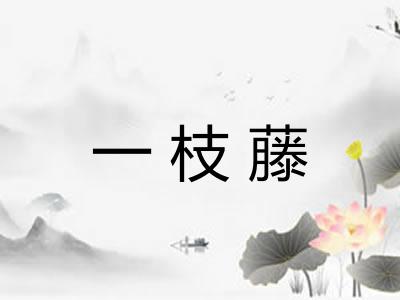 一枝藤