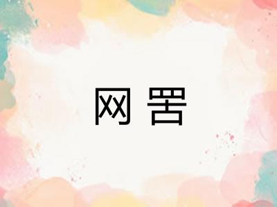 网罟
