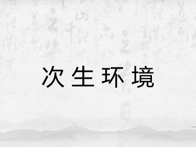 次生环境