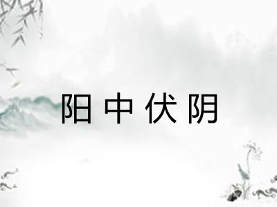 阳中伏阴