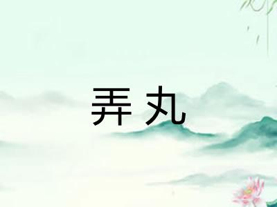 弄丸
