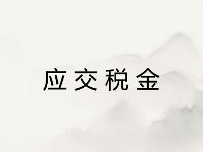 应交税金