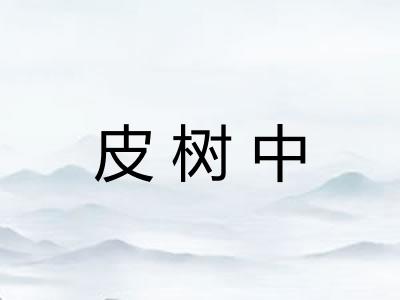 皮树中