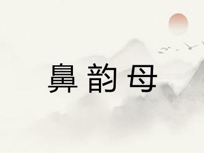 鼻韵母
