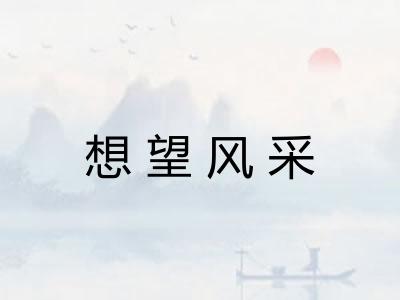 想望风采