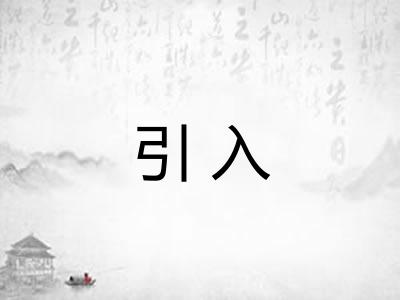 引入