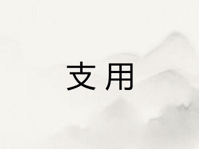 支用