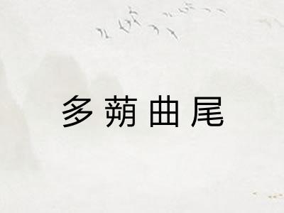 多蒴曲尾
