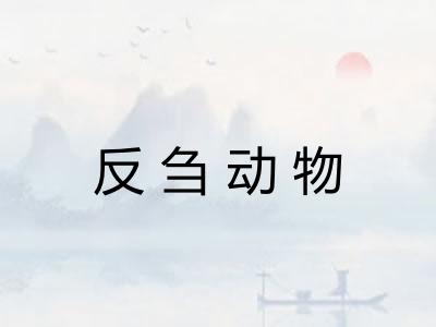 反刍动物
