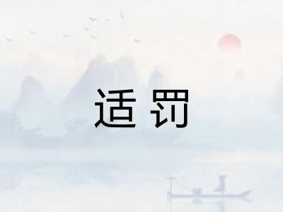 适罚