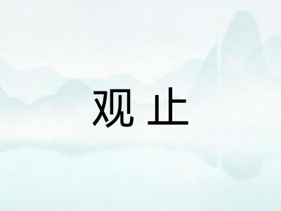 观止