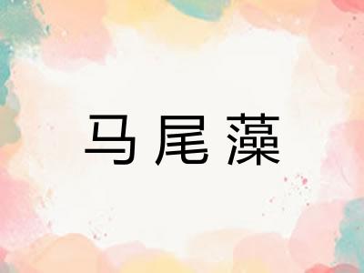 马尾藻