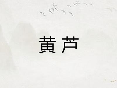 黄芦