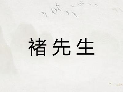 褚先生