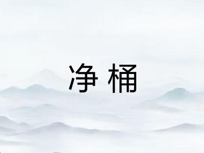 净桶