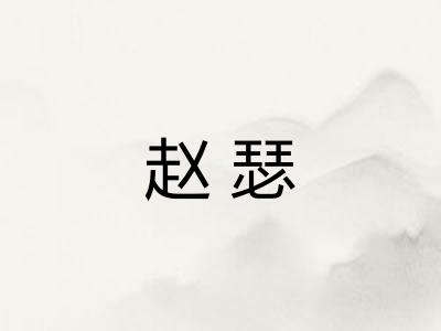 赵瑟
