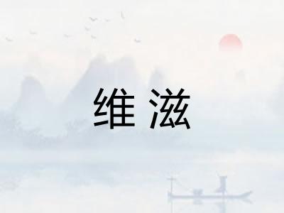 维滋