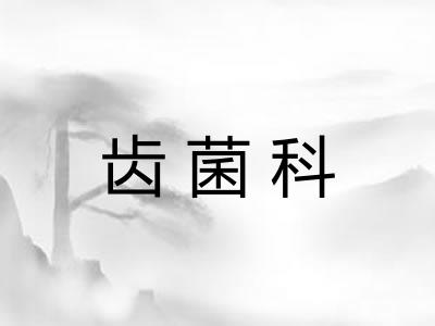 齿菌科