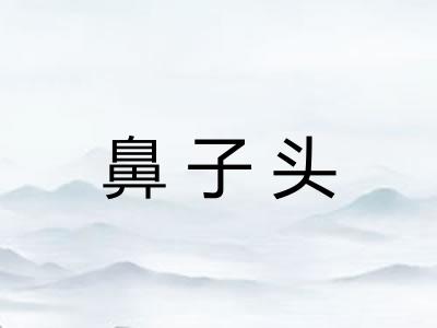 鼻子头