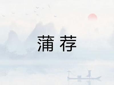 蒲荐