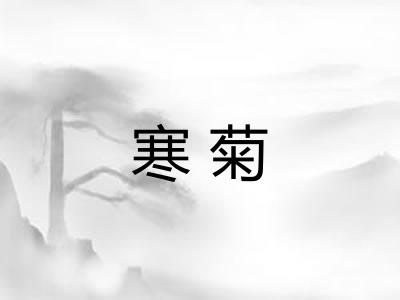 寒菊