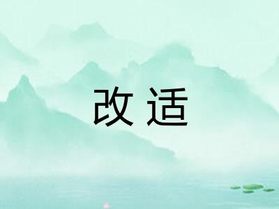 改适