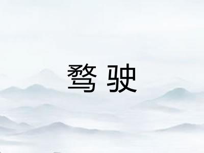 骛驶