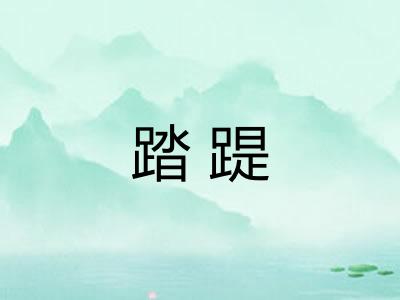 踏踶