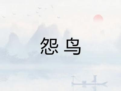 怨鸟
