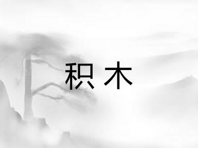 积木